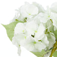 Hydrangea Evie in Phoebe Vase White 30cm