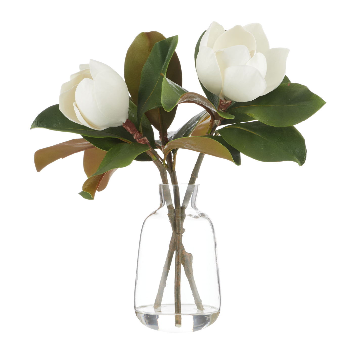 Magnolia in Glass Vase White 35cm