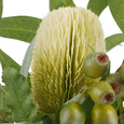 Native Banksia Gum Nut Mix in Pail Vase Green