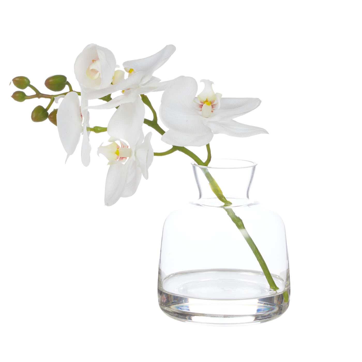 Orchid Stem in Clear Vase White & Glass