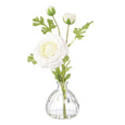 Ranunculus in Glass Vase