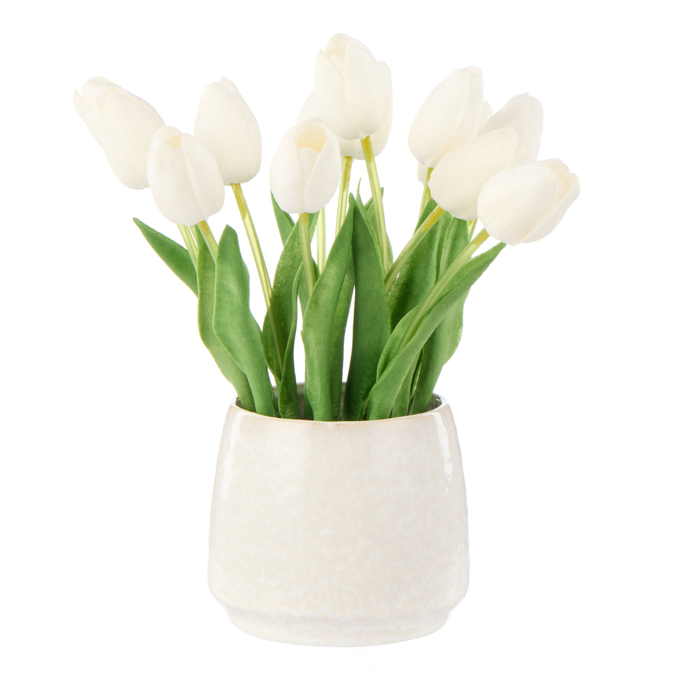 Tulip Bunch in Gianni Pot White