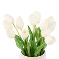 Tulip Bunch in Gianni Pot White