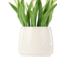 Tulip Bunch in Gianni Pot White