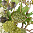 Hydrangea Lotus Pod Fig Mix in Maliah Pot