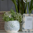 Eliza Ceramic Pot with faux green and white florals styled on a shelf with a blue and white photo frame