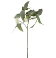 Eucalyptus Flower Spray 70cm