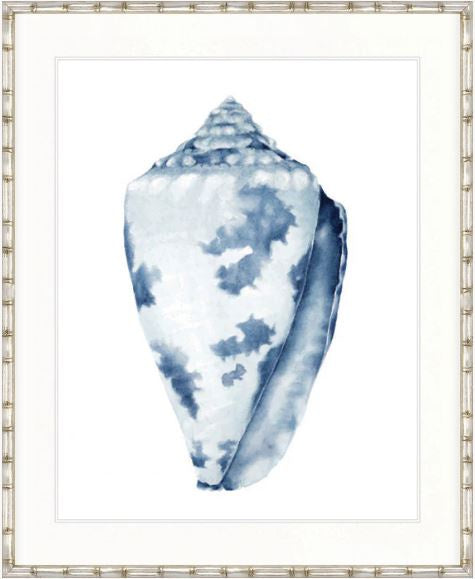 Exquisite Shell I Indigo