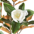 Magnolia Tree Green 115cm