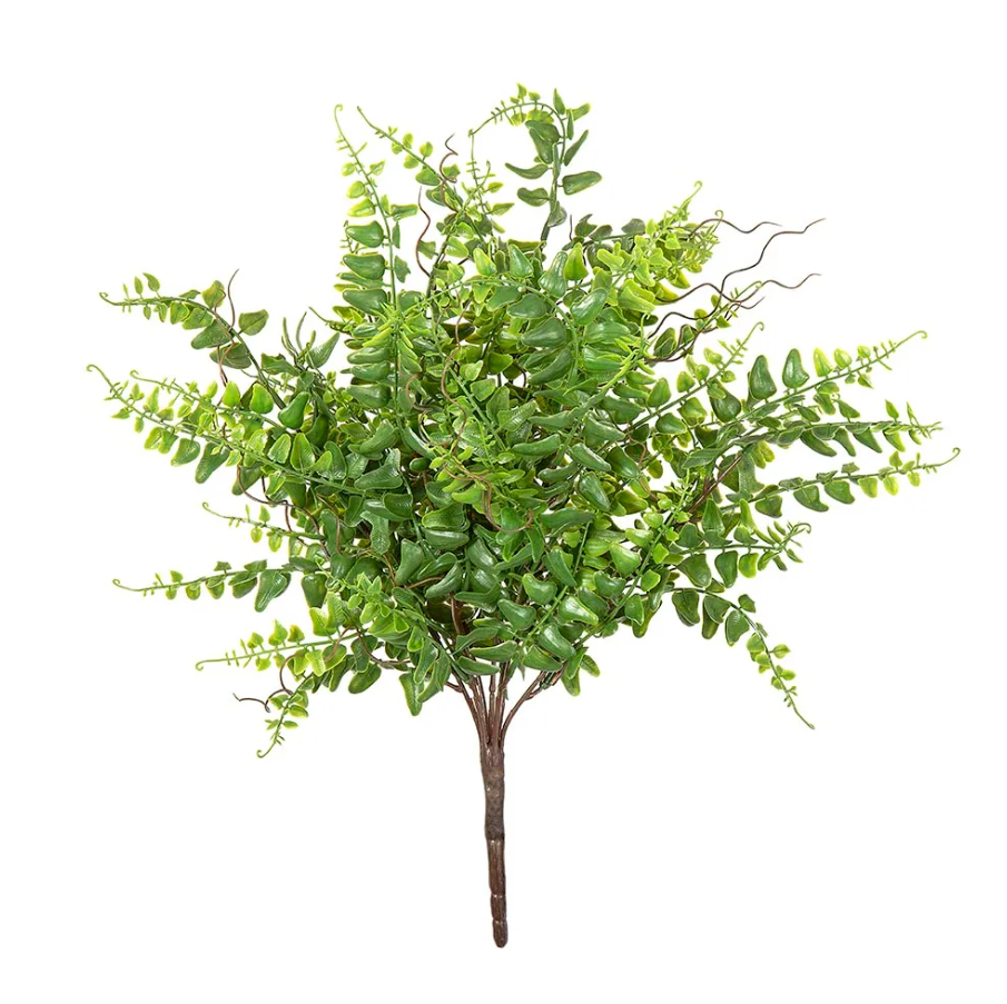 Fern Bush 45cm