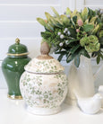 Ginger Jar Evergreen