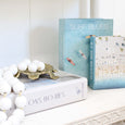 Large Hamptons Lifestyle decorative book box set of two with coastal home and interior covers 
