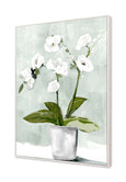 White Vase canvas