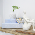 Island Escape Decorative Book Box Set of 2 stacked on a natural timber shelf with a white ceramic vase, decorative beads and white sculptural ornament in a coastal home.