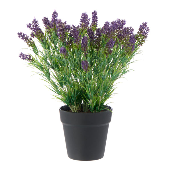 Lavender-Garden Pot Purple & Green