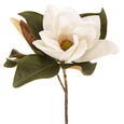 Magnolia Flower 72cm White