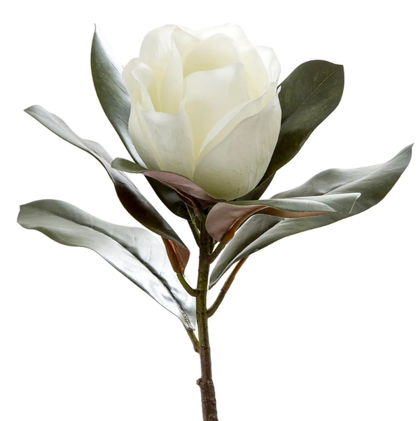 Magnolia Single Head 70cm White