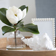 White magnolia stem in glass vase styled on a timber console table with coastal home decor accents.