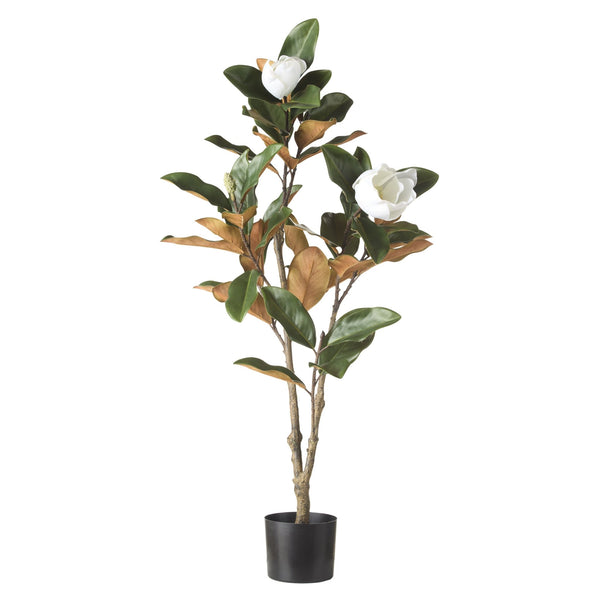 Faux Magnolia Tree Green 115cm with white magnolia flowers and realistic green leaves in black planter pot