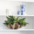 Monterey Bay Tapered Vase 30cm displayed on open shelving with coordinating blue and white ceramics, greenery and woven baskets in a coastal Hamptons home.