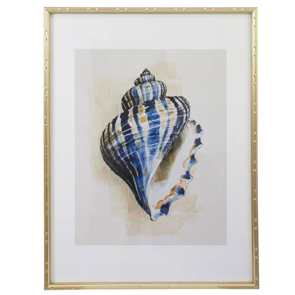 Navy Conch Shell Framed Coastal Artwork 60x80cm featuring a blue and indigo watercolour-style seashell illustration, white matting and a gold bamboo-inspired frame.