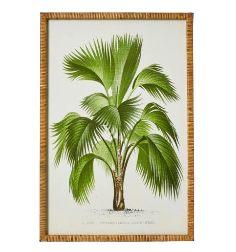 Palm Botanical Wall Art A