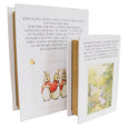 Peter Rabbit and Jemima Puddle-Duck decorative book boxes set of two with illustrated pale covers — supplier image 2