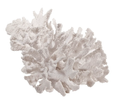 Rottnest Coral Sculpture White