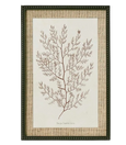 Sepia Coral Wall Art 'B'