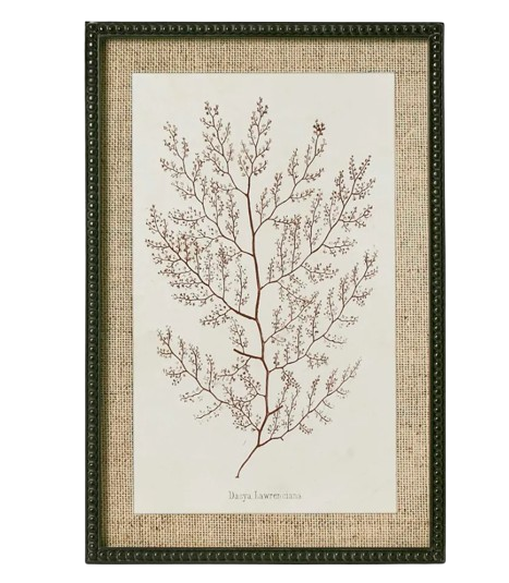 Sepia Coral Wall Art 'B'