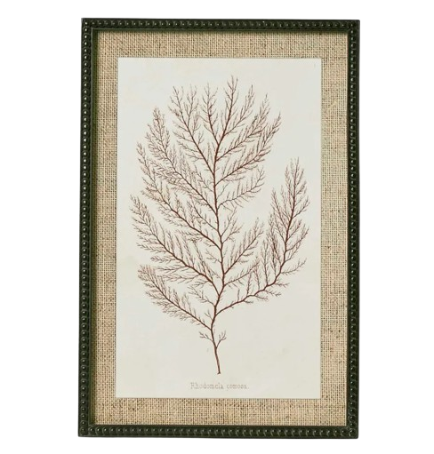 Sepia Coral Wall Art 'C'