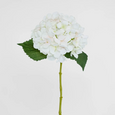 White artificial hydrangea stem with full bloom and green leaves