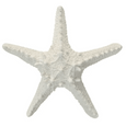 White textured poly starfish decorative accent for coastal and Hamptons home styling
