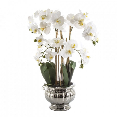 Potted Orchid in Silver Bowl Large White
