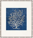 Coral Motif I Navy