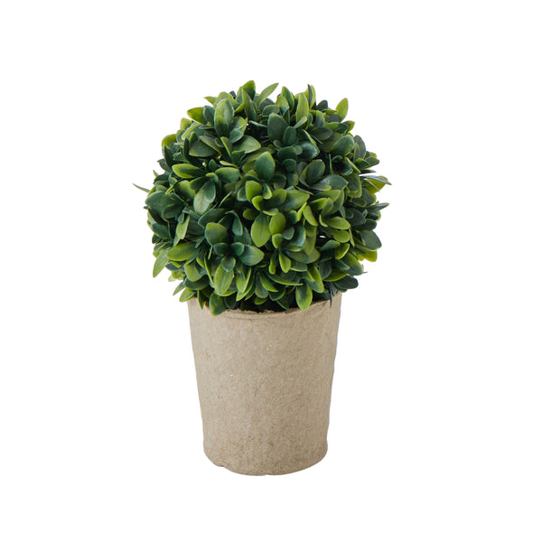 Mini Topiary Plant in Pot