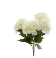 Hydrangea Bundle W/Leaves 55cm White