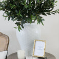 Olive Spray