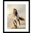 Austin Horses #08