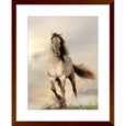 Austin Horses #08