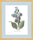 Botanical #02 Print with Blue Mat