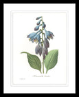 Botanical #02 Print