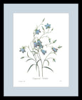 Botanical #03 Print with Blue Mat