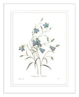 Botanical #03 Print