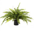 Artificial Boston Fern plant 80cm tall in black pot with full green feathery fronds.