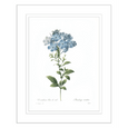 Botanical #01 Print