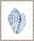 Exquisite Shell V Indigo