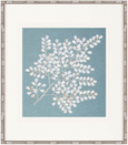 Fern Motif VI