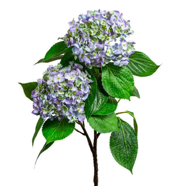 Hydrangea Bundle W/Leaves 90cm Blue