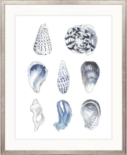 Seashell Collage VI